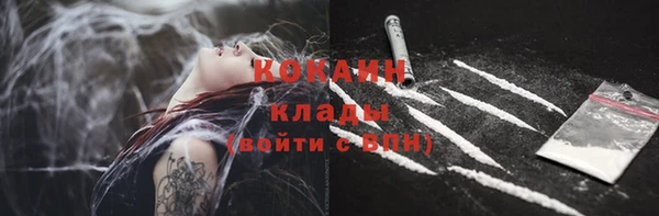 прущие крисы Кодинск