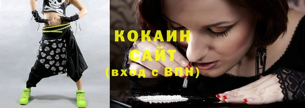 твердый Коряжма