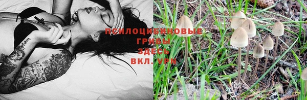 Альфа ПВП Козловка