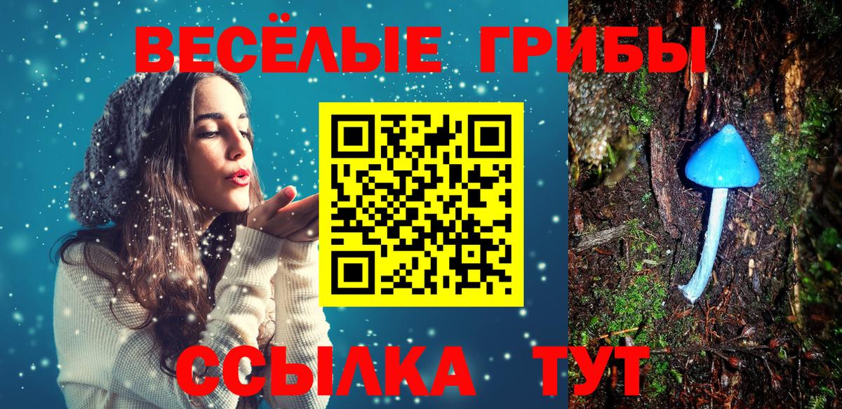 Кудрово  купить наркотик  Вход с VPN  Галлюциногенные грибы Psilocybine cubensis  Галлюциногенные грибы Magic Shrooms 